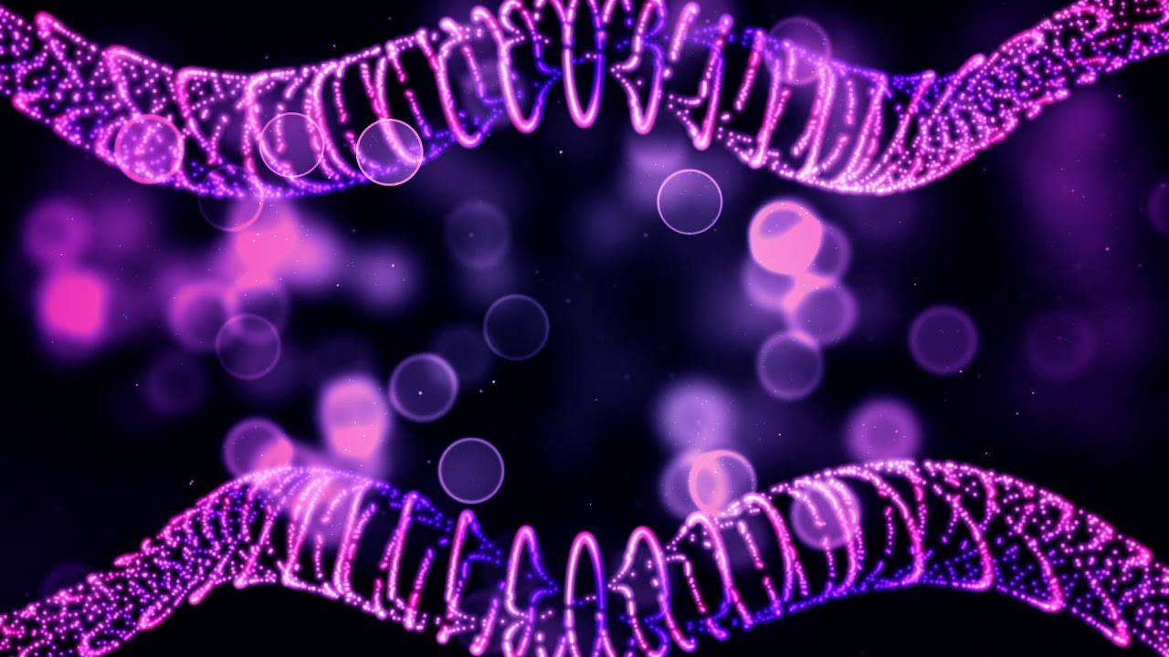 Free Title Background Video Motion