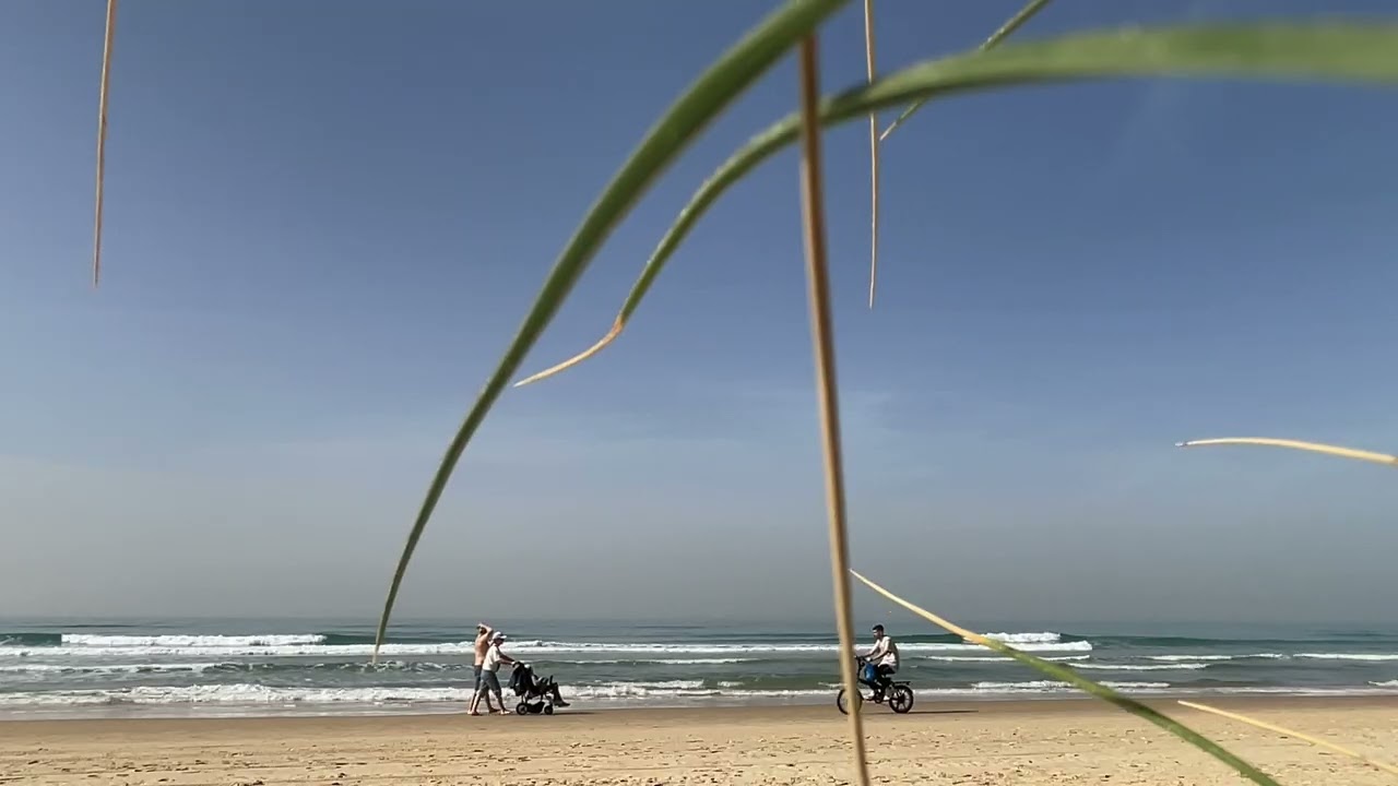 Sea Waves and Ocean Sounds