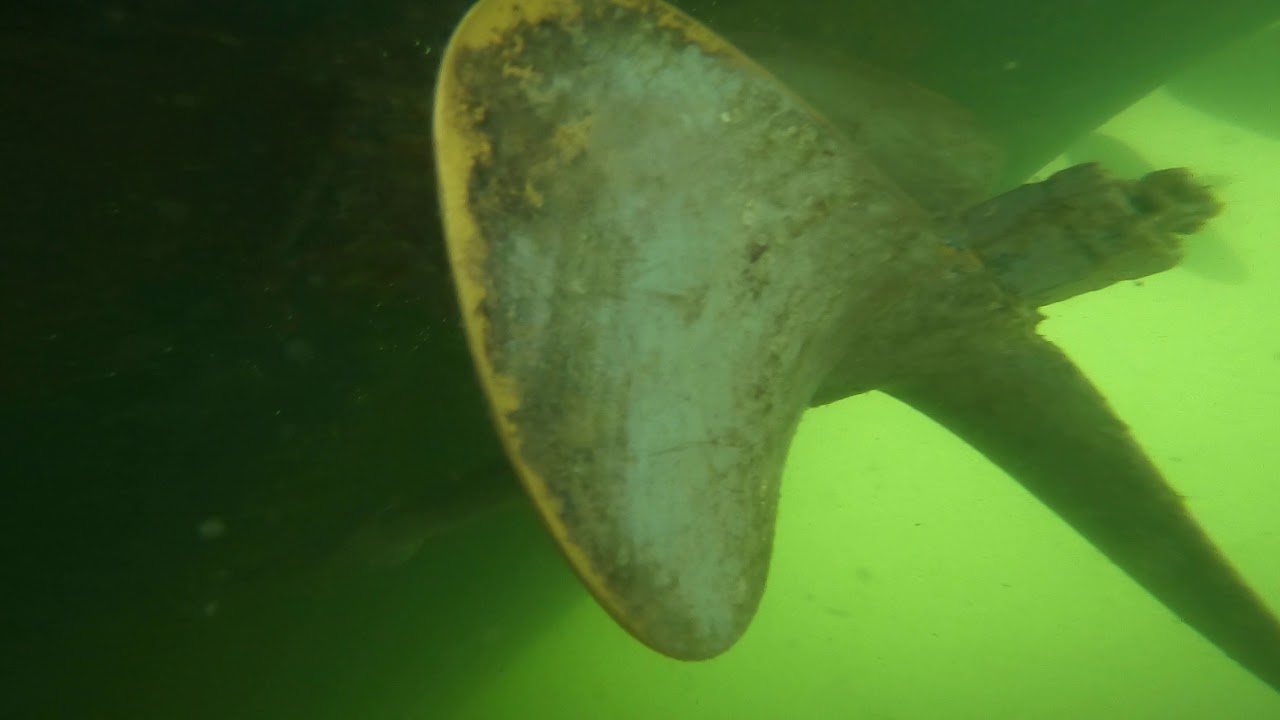 Miss Chris New Zincs 12/2020