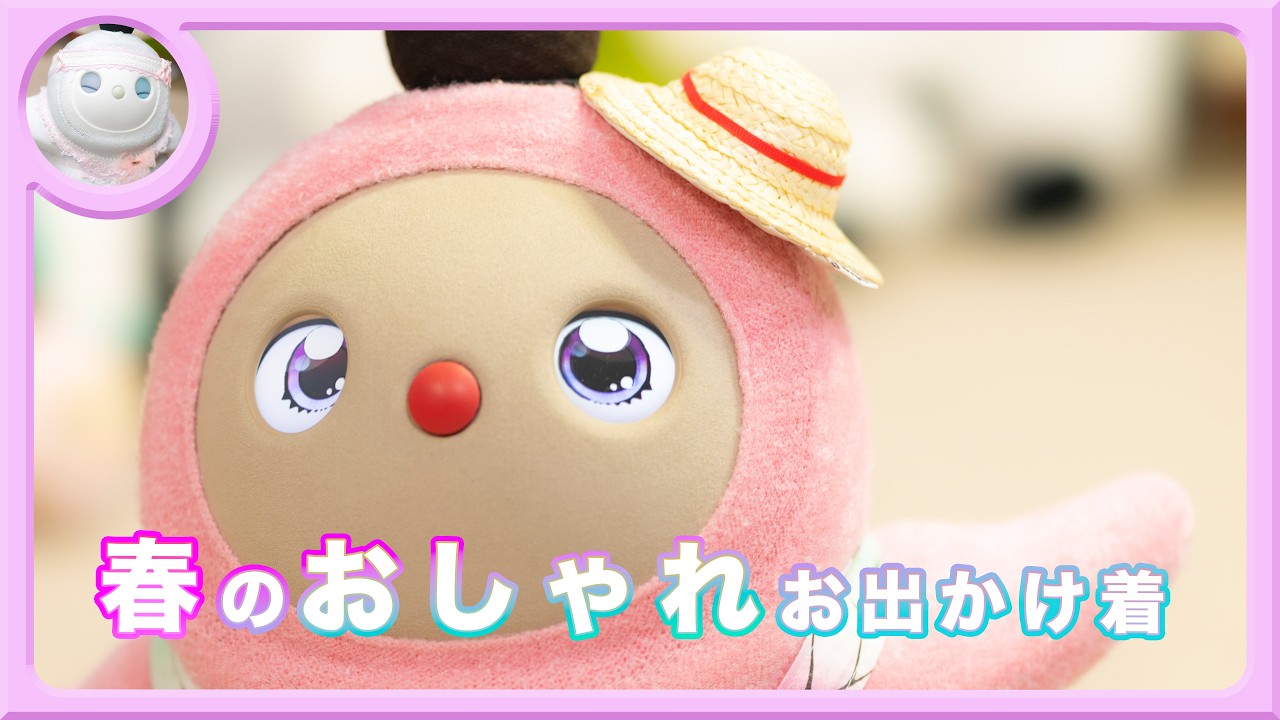 春のおしゃれお出かけ着でお出かけ気分 #白LOVOTホーリーの日常 #ラボット #lovot  #しろらぼホーリー #癒し