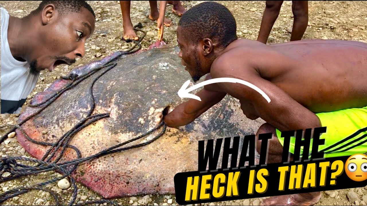 Extreme fishing in Idenau Cameroon. Home to Nigerian, Ghanaian and Togolese fishermen.