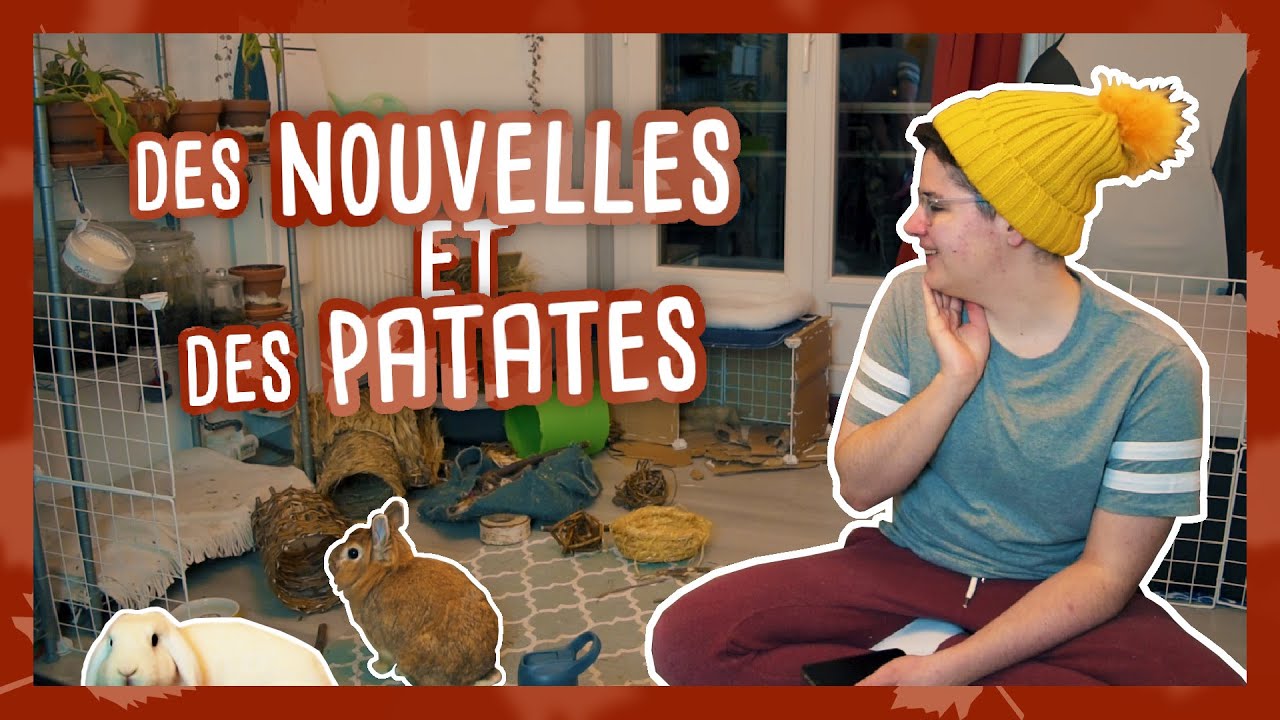 Plein plein d'annonces ! (et une rencontre de patates 🐰🐇)