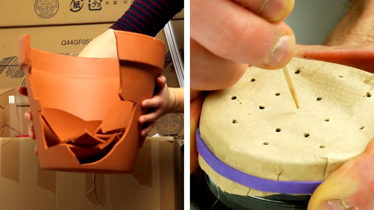 22個技巧讓你變成綠手指