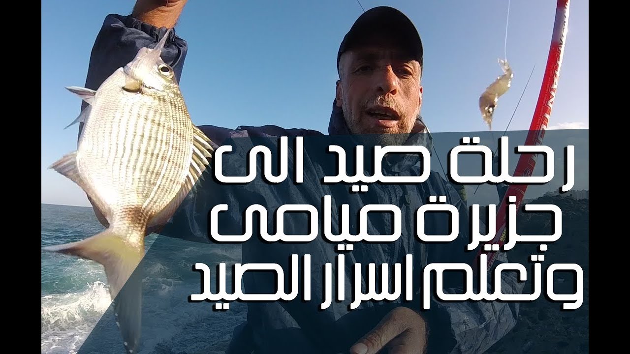 جزيرة ميامى - تعلم اسرار صيد سمكة الشرغوش