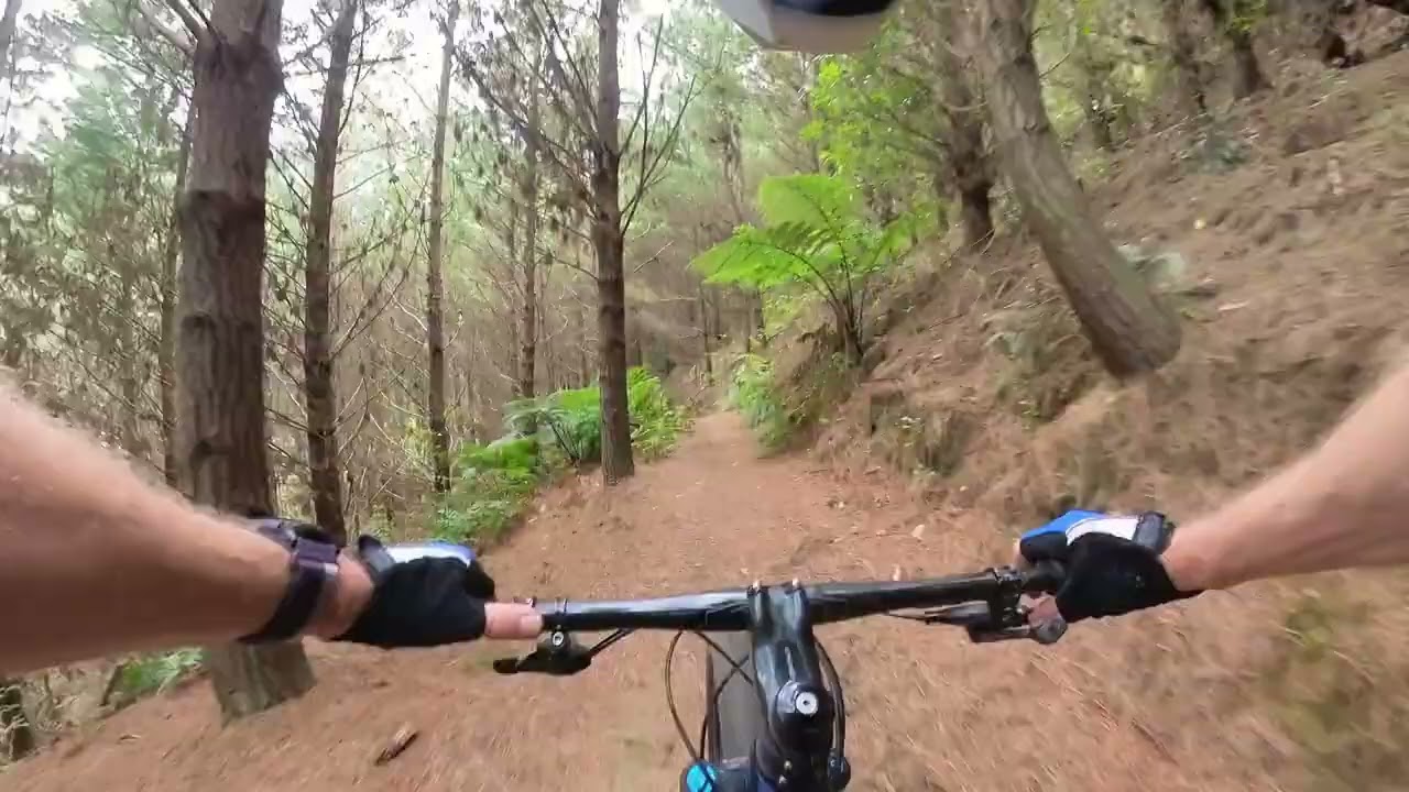 Te Ara Kōpiko (upper), Codgers-Maitai, Climb Trail
