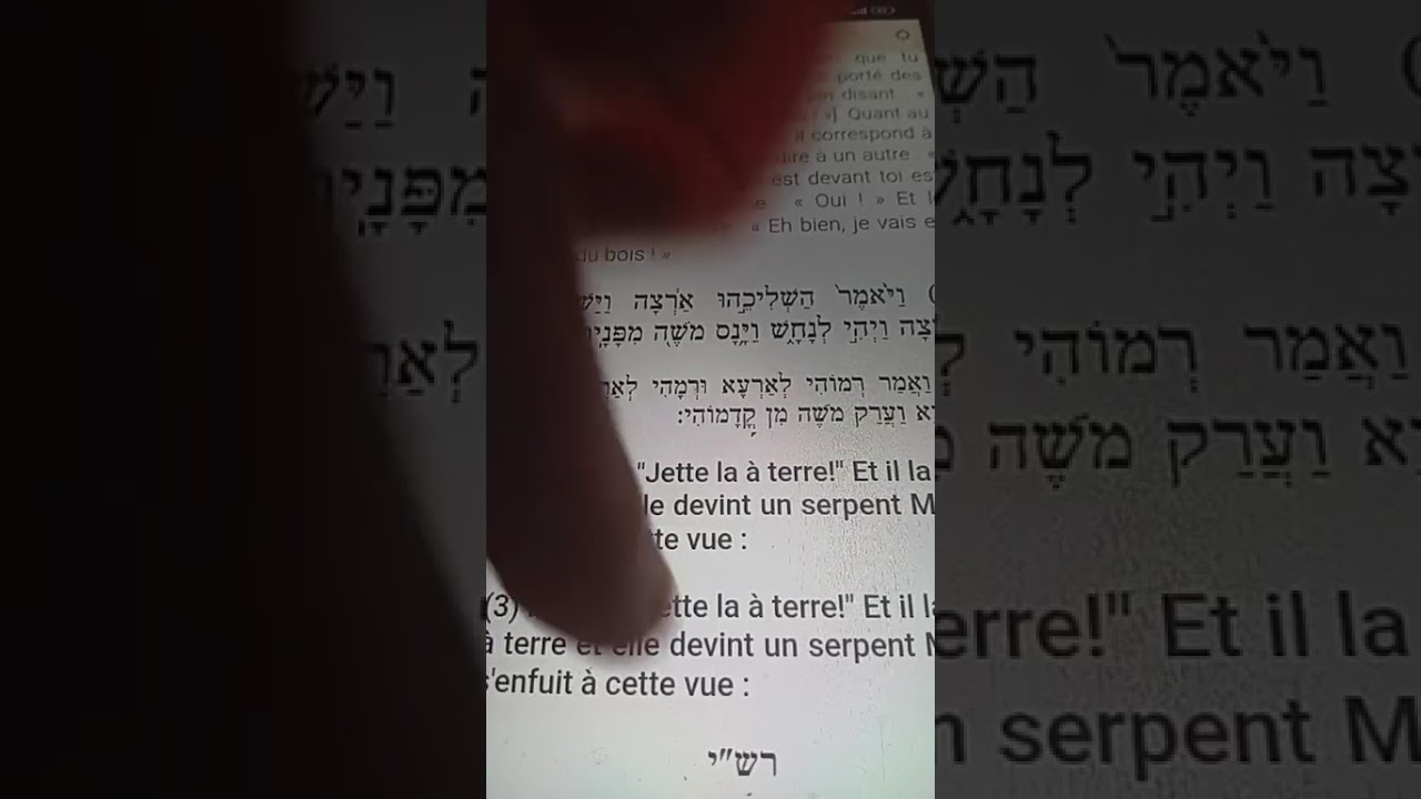 Talmud Étude du jour 