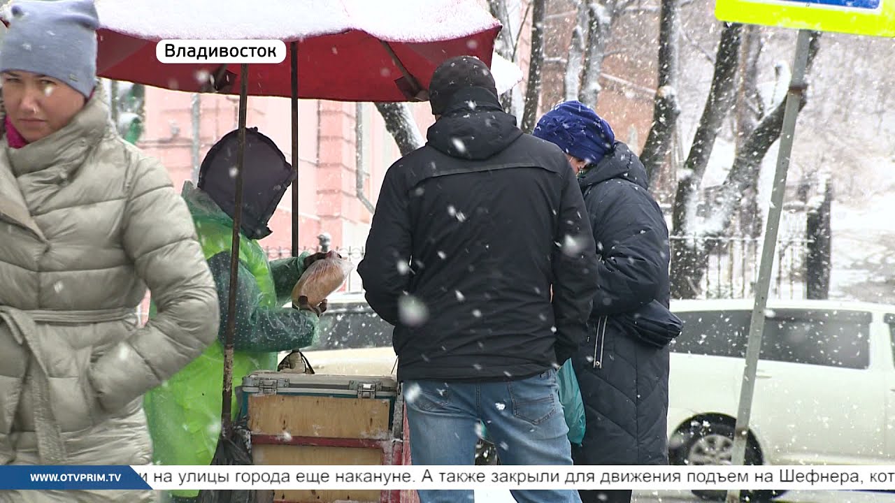 Хрустальная сказка - 2: как Владивосток справляется с непогодой