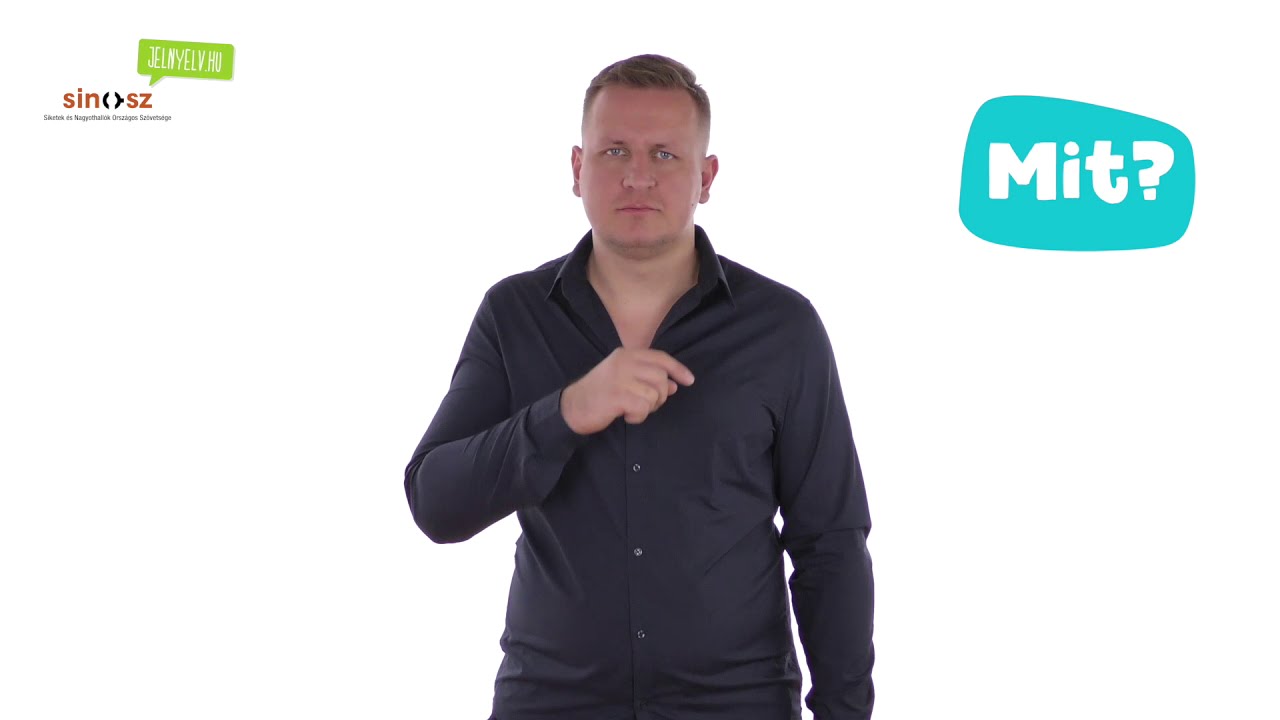 K&eacute;rdőszavak jelnyelven