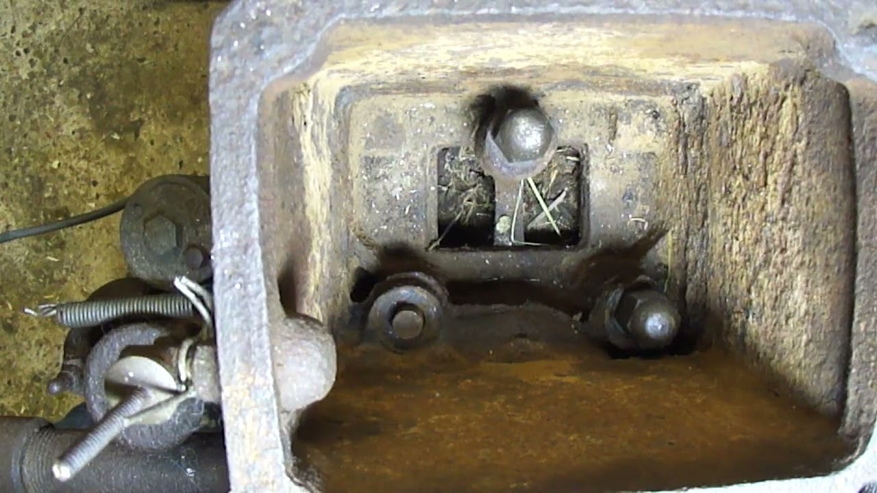 Lister D Head Removal Part 1