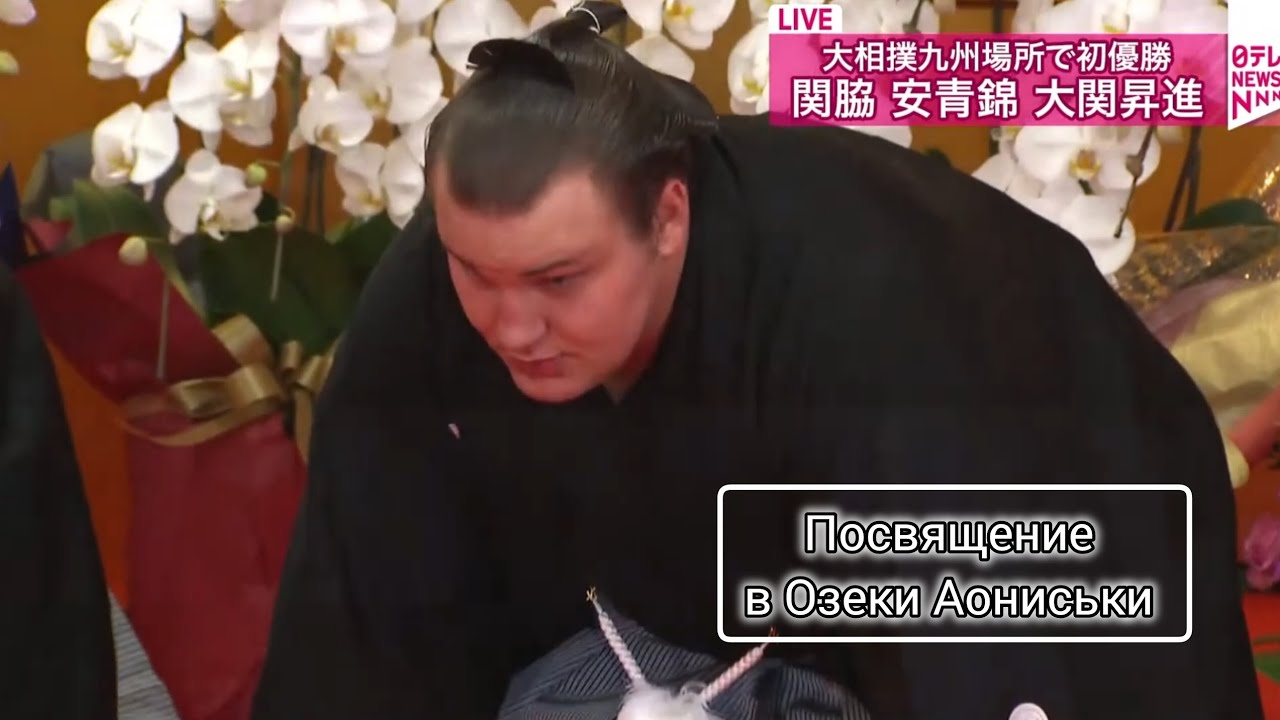 Церемония посвящения в Озеки Аониськи Сумо на русском 2025 ( Aonishiki Ceremony, new Ozeki)