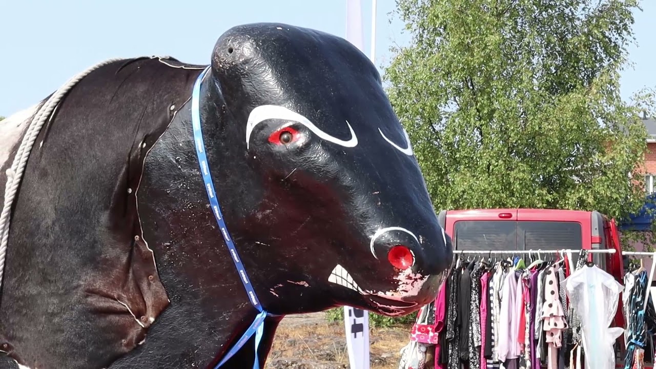 Alavieskan markkinat 2021