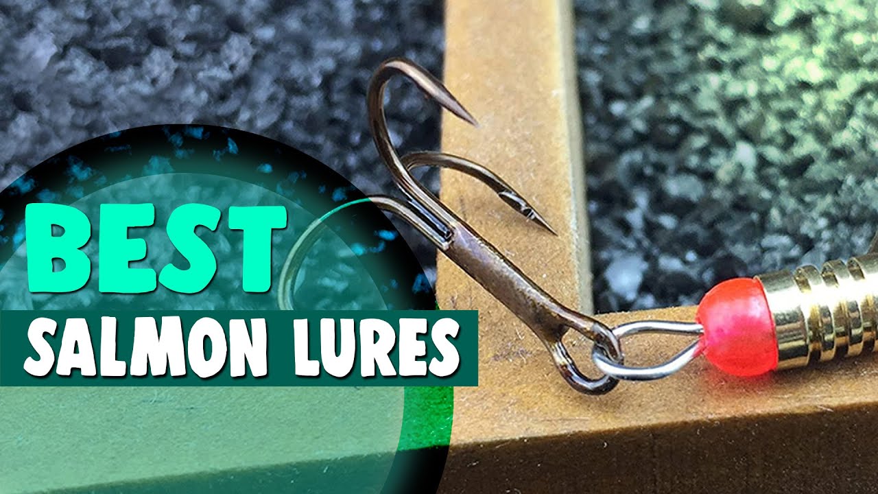 Best Salmon Lures in 2021 – Effective for Fishing Without Interruption!