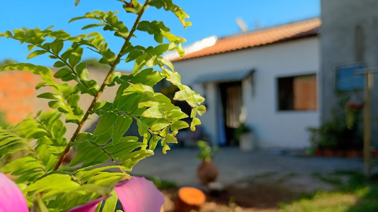 Rotina de dona de casa, cuidando do lar | fiz conserva de pimenta | passeio na roça.