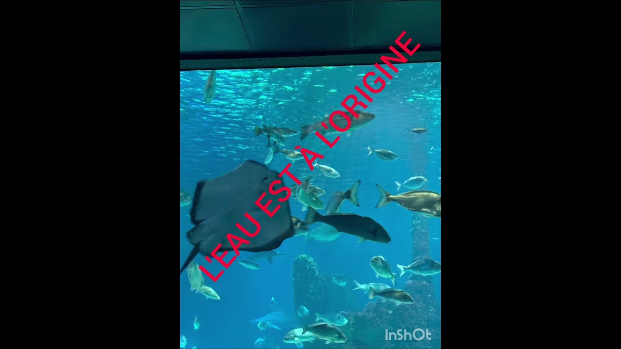 L'EAU EST À L'ORIGINE 