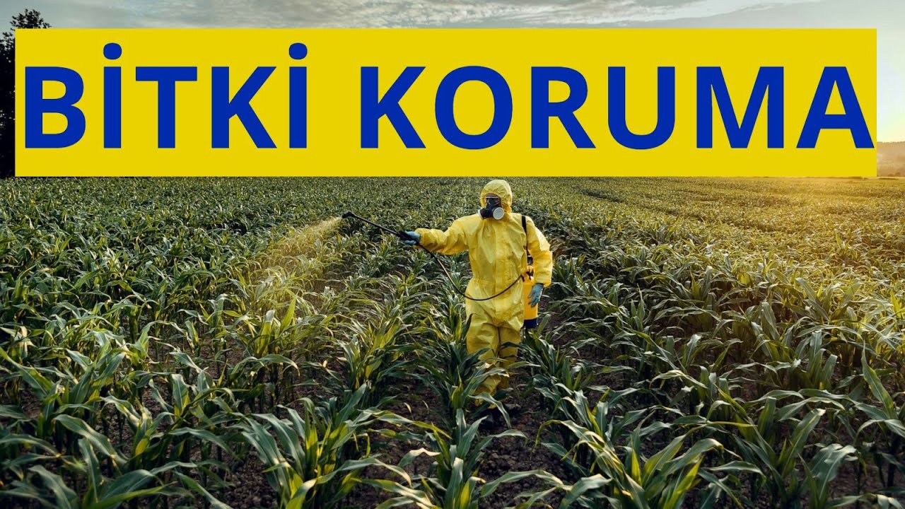 Bitki Koruma Tercih Edilmeli Mi?