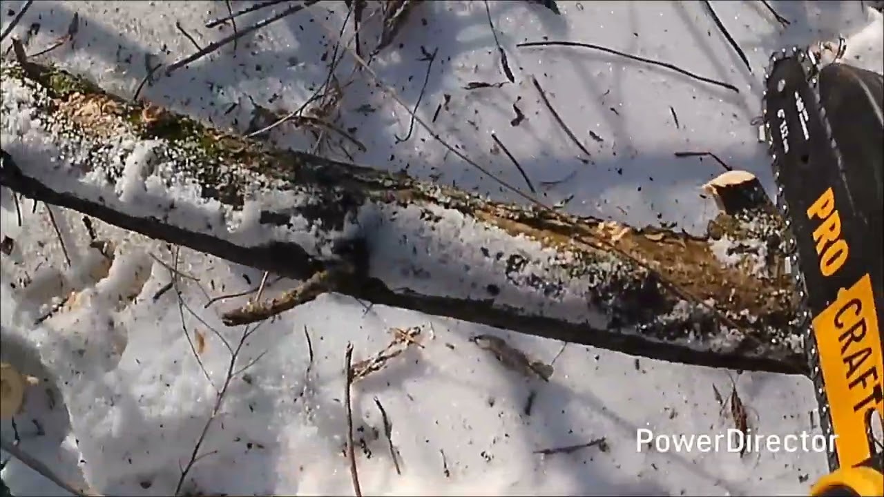 В хаті буде тепло, міні пилка Prokraft нам пиляе дрова.