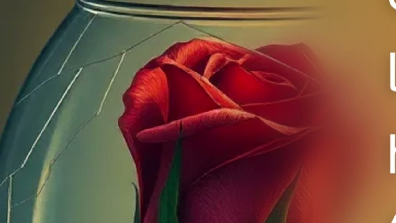 Grupo Maravilla y Marthita la cumbiambera  'ay Jesús Mendoza '