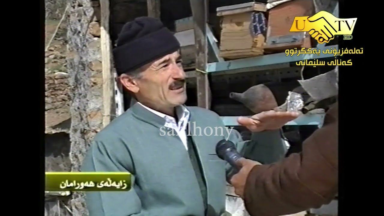 هەنگ لەهۆراماندا شارۆچکەى تەوێڵە