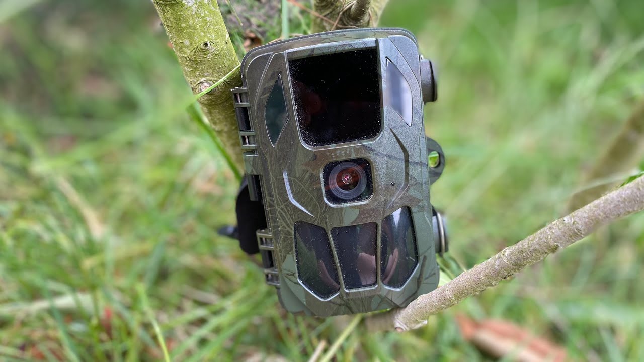 Konijnen van DICHTBIJ bekijken met een WILDCAMERA!?