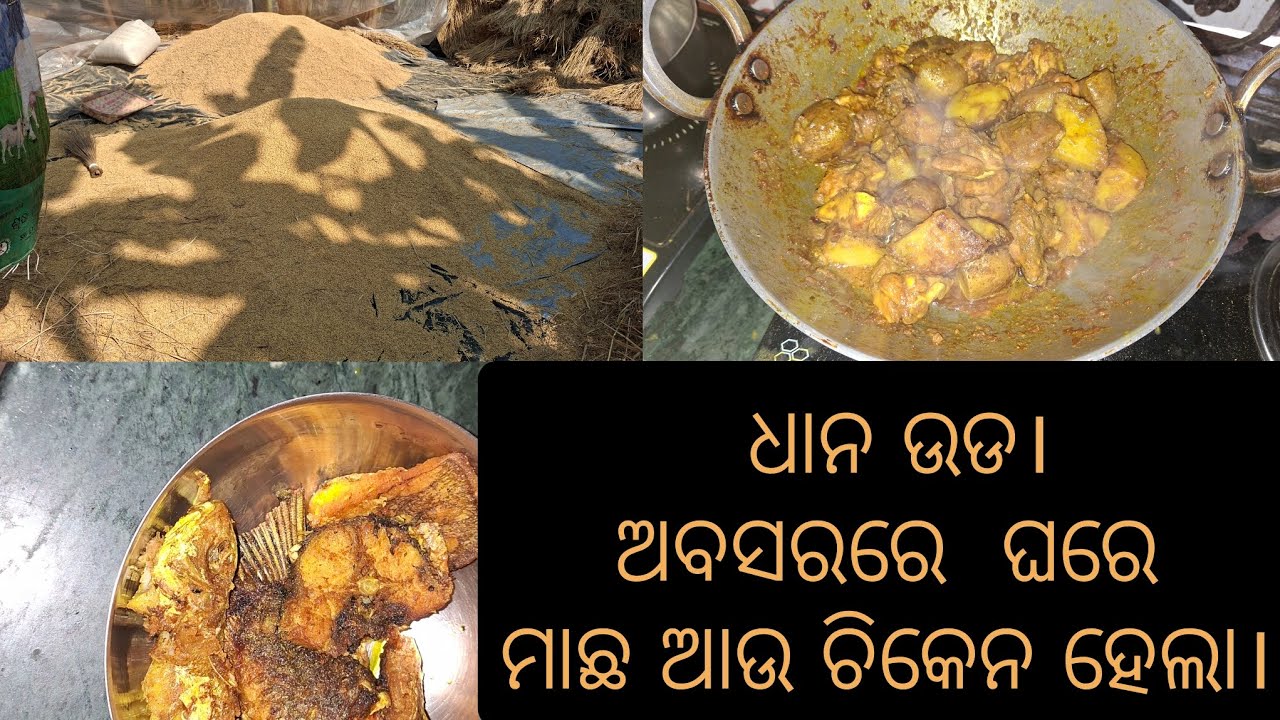 ଧାନ   ଉଡ। ଅବସରେ ଘରେ ମାଛ  ଆଉ ଚିକେନ ହେଲା।  #odiavolg #recipe #odiarecipe #villagelife #villagevlog
