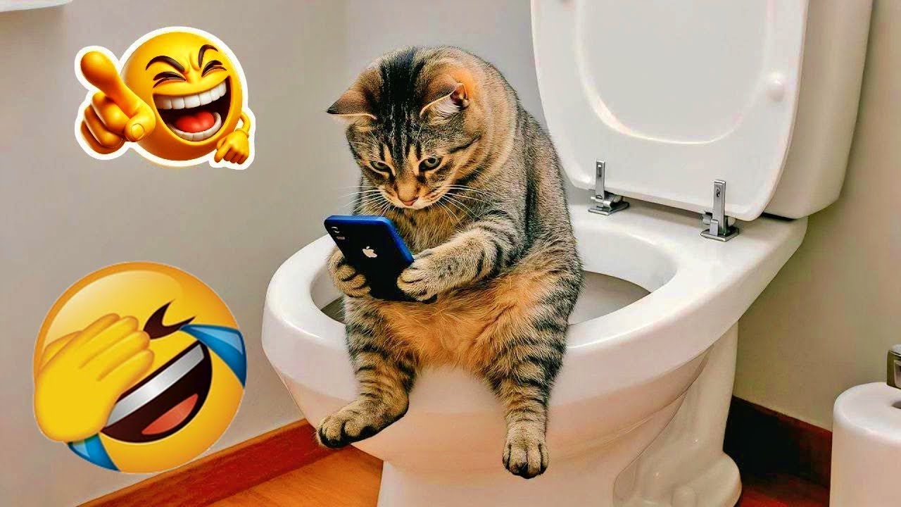 You Can’t Stop Laughing At These Pets 🤣 | Funniest Cats & Dogs 2026 🧁 