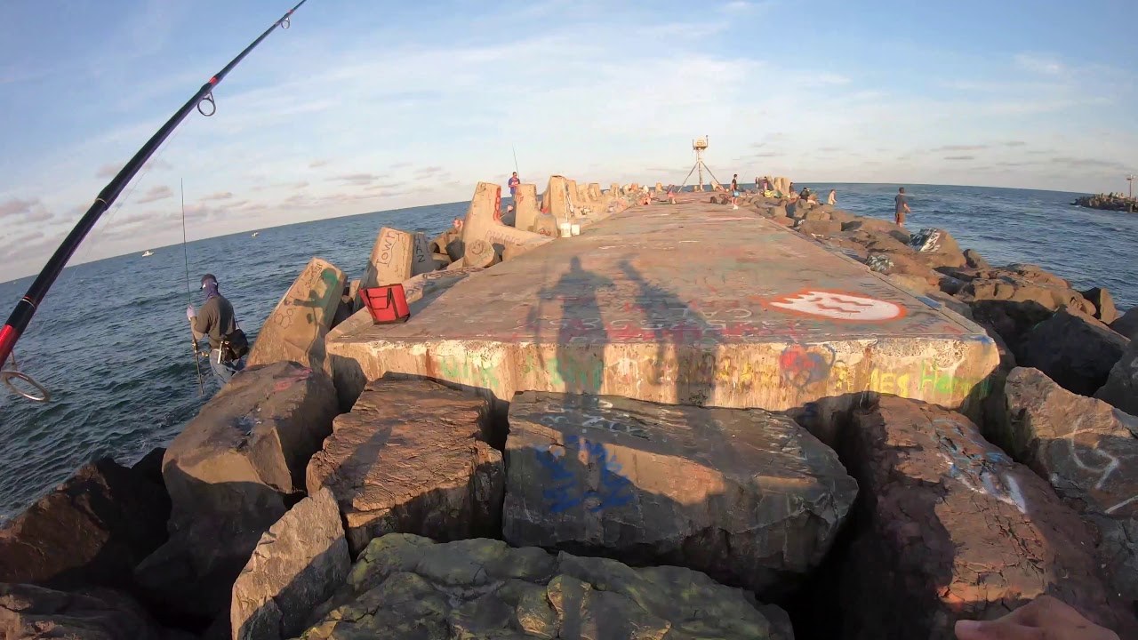 Saltwater Fishing in NEW JERSEY 