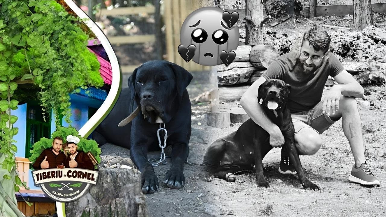 Cu părere de rău,Sasha nu mai este printre noi...