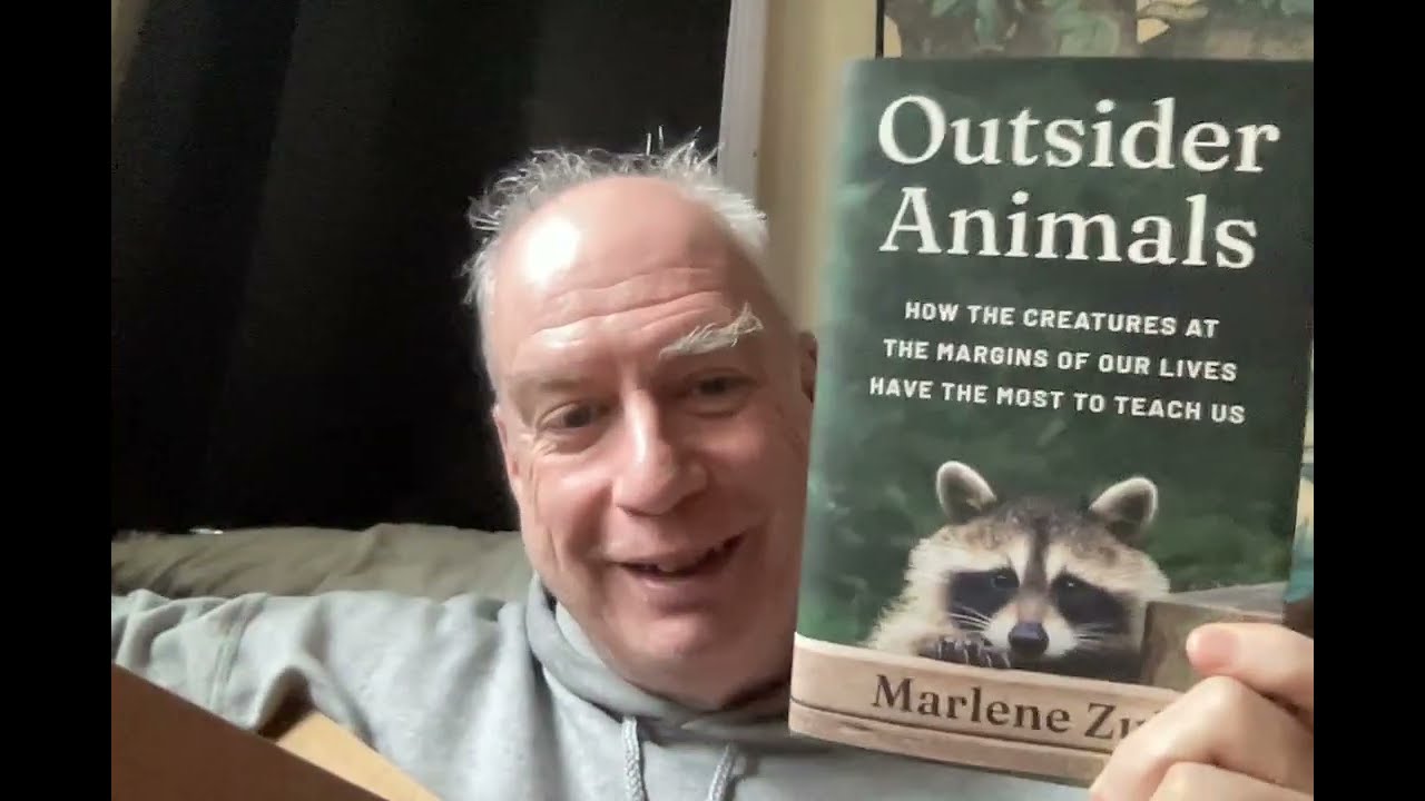 Книга доставлена ​​почтой в дождливый понедельник!