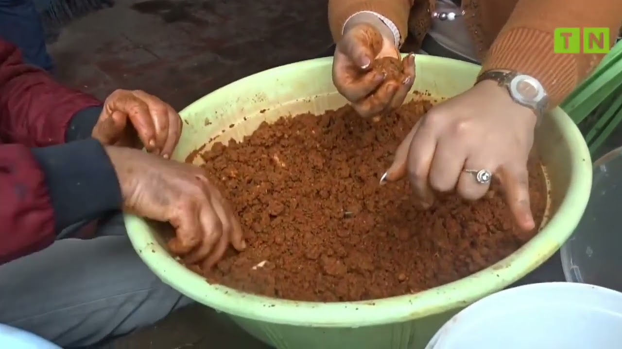 #العصبان الشايح حسب العوايد النابلية