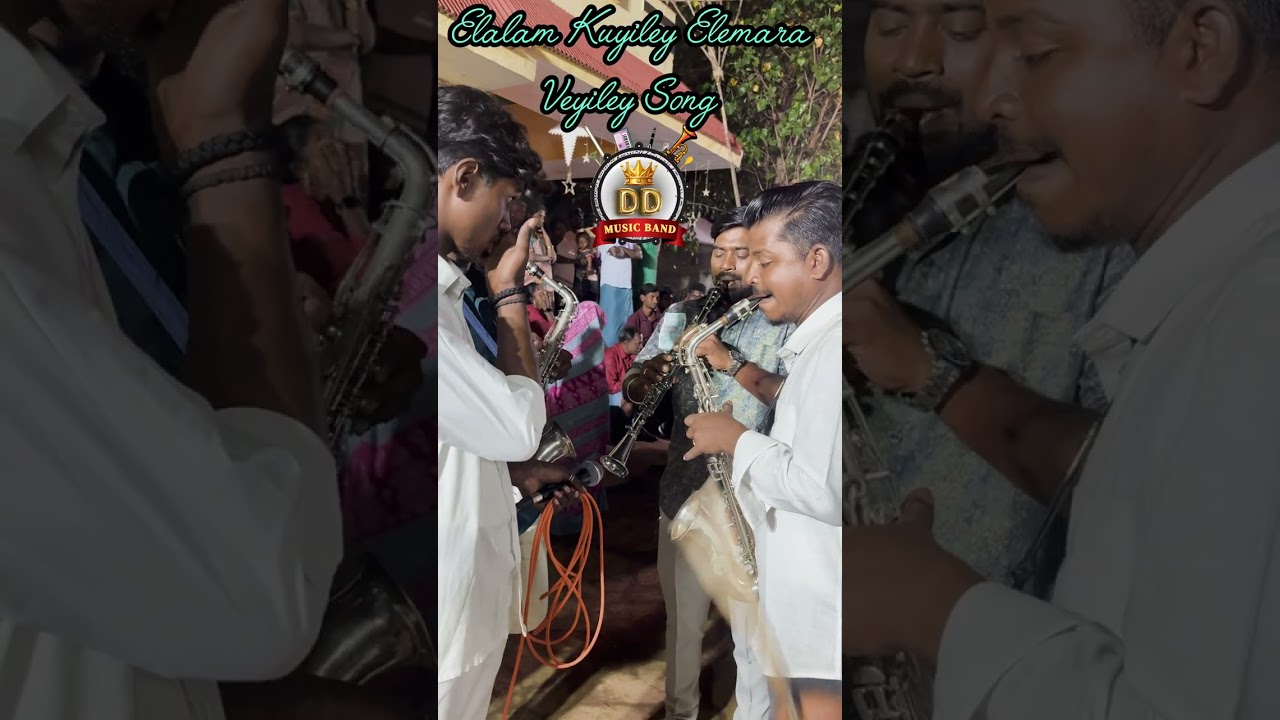 DD music band Kattur 🎀💥 7339388550/ 8072668462