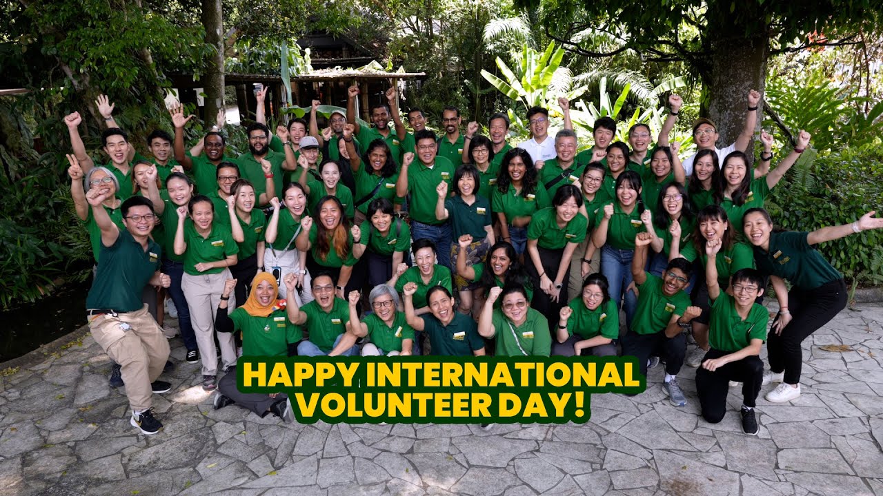 Shoutout to our amazing volunteers - Happy International Volunteer Day!