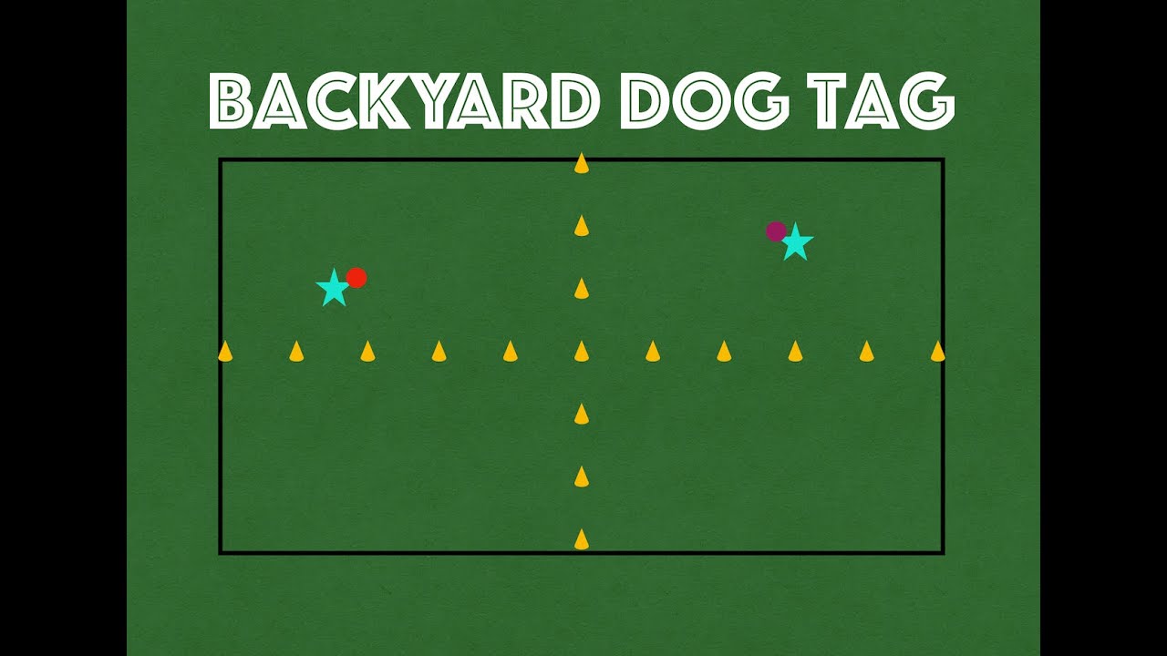 Backyard Dog Tag - Primary P.E. Game