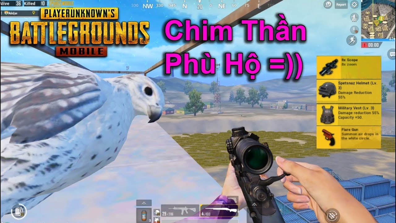 [PUBG Mobile] Đi Tìm Tổ Chim Thần Ở Bến Cảng Lại Được Cho Flare Gun