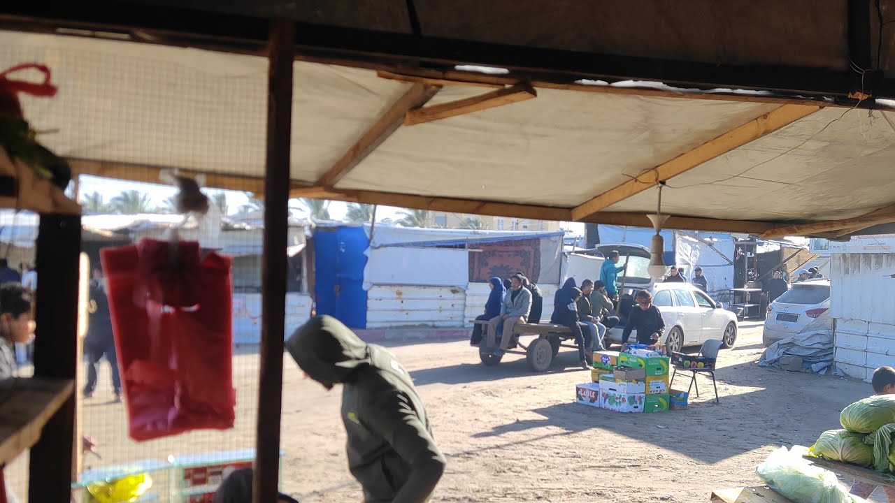 #صباح_الخير 🌹من غزة 🇵🇸 بثًا مباشرًا