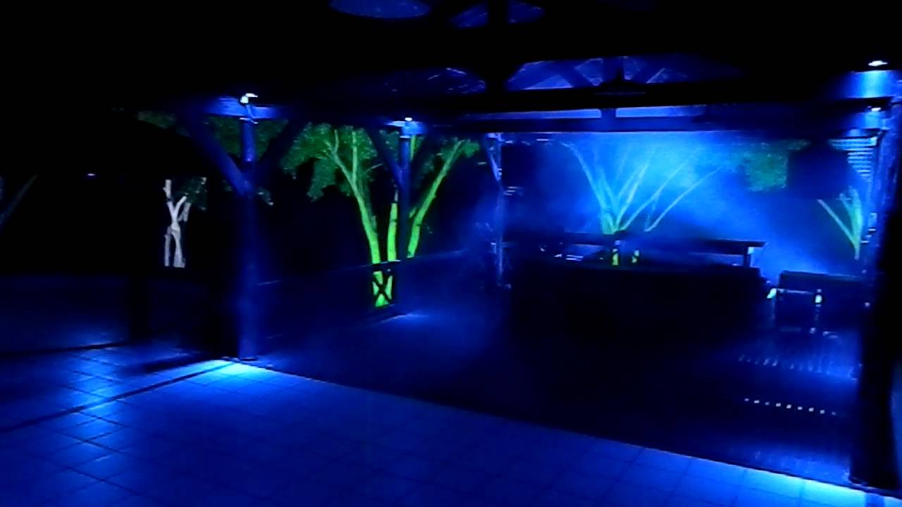 damas e reis iluminacao profissional