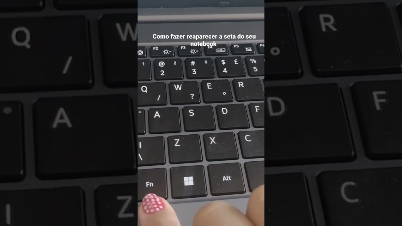 Cursor do mouse sumiu ,como Fazer reaparecer a seta do seu notebook