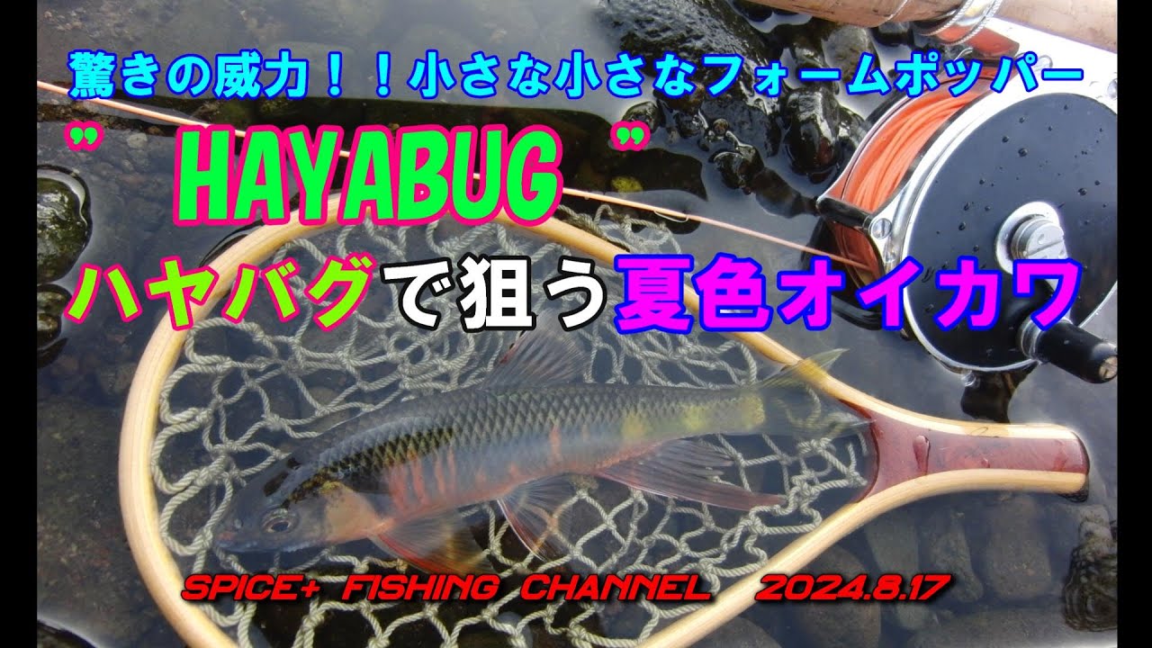 【オイカワ　フライフィッシング】ハヤバギングで夏色オイカワ　”　ハヤバグ　”の新たな可能性に気付いた日！