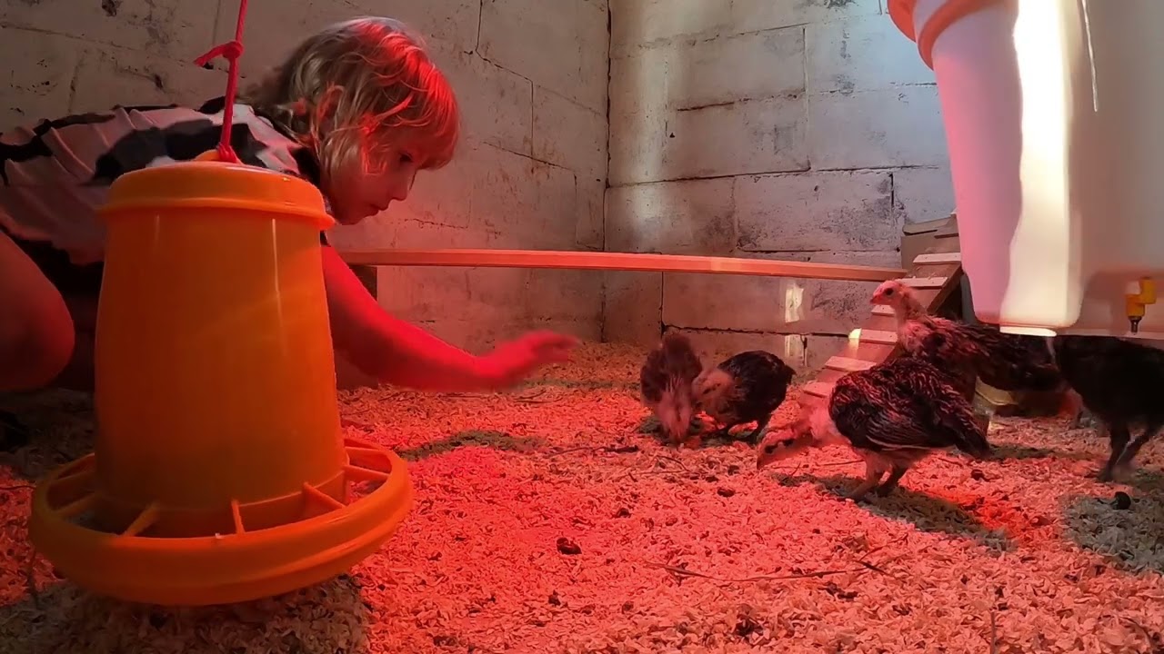 Maatiaiskanat ja Talvikanala HOMESTEADING IN FINLAND