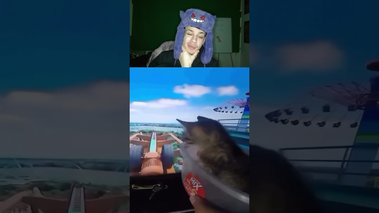 Katze bekommt Achterbahn Simulation