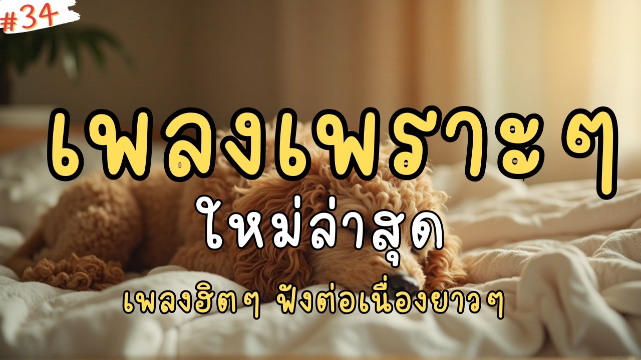 เพลงใหม่ล่าสุด ฮิตๆ 2026 🔥 ฟังสบาย รวมเพลงเพราะๆ ไม่มีโฆษณาคั่นบ่อย