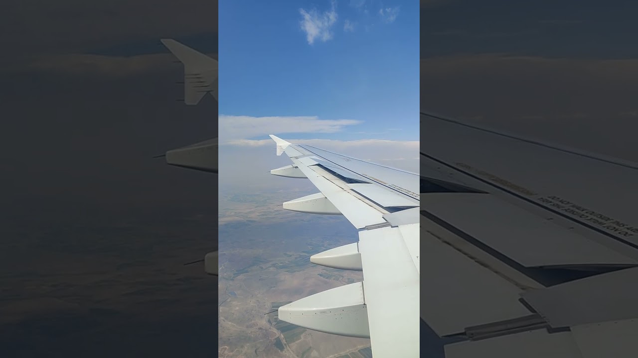 Посадка в Международном аэропорту 