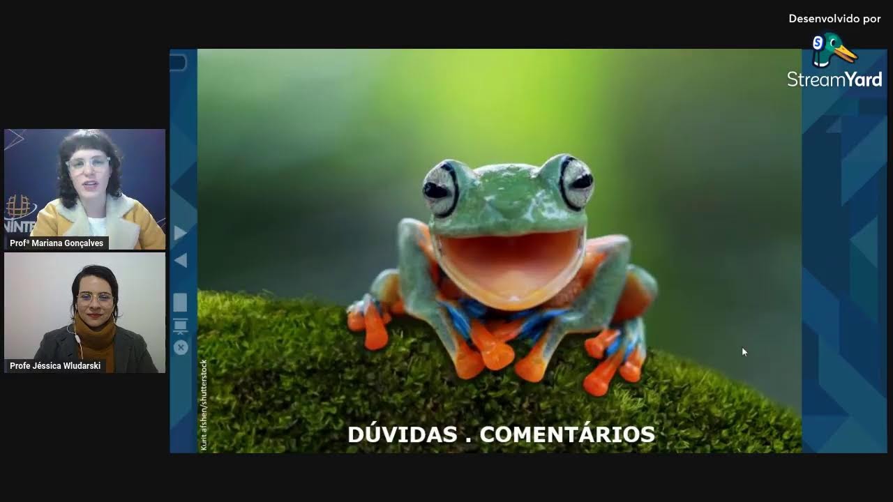 Aula Interativa 1 - Fundamentos do Design