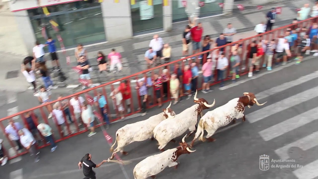 Resumen Encierros lunes 3 Septiembre 2018 exit