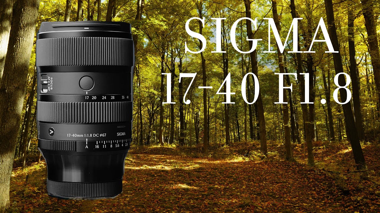 Sigma 17-40 F1.8 Nature Walk / Sony FX30 Cinematic footage / Zhiyun Weebill-S