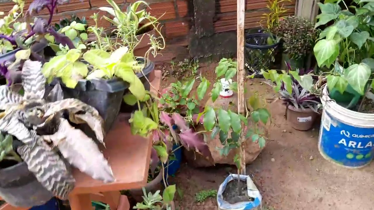 Bom dia, não é bom sumir assim, mas voltei. 