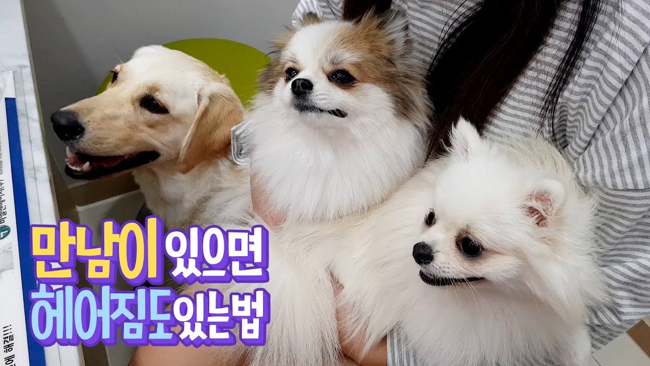 만남이 있으면 헤어짐도 있는법 🐇 소녀의 네모난 행성