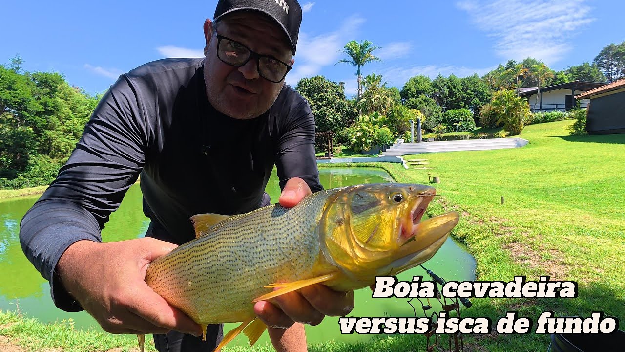 Boia cevadeira x isca de fundo, qual vence a batalha ?