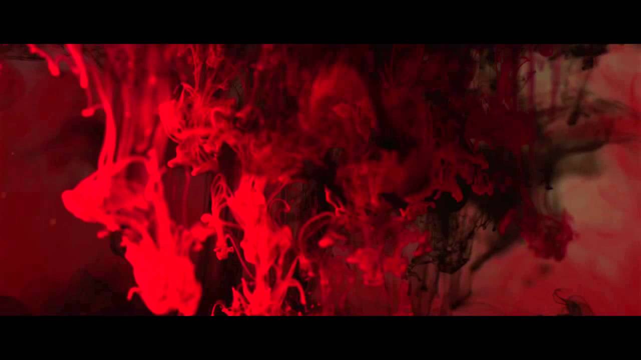 Like This, For Ever by Sharon Bolton - paperback book video trailer