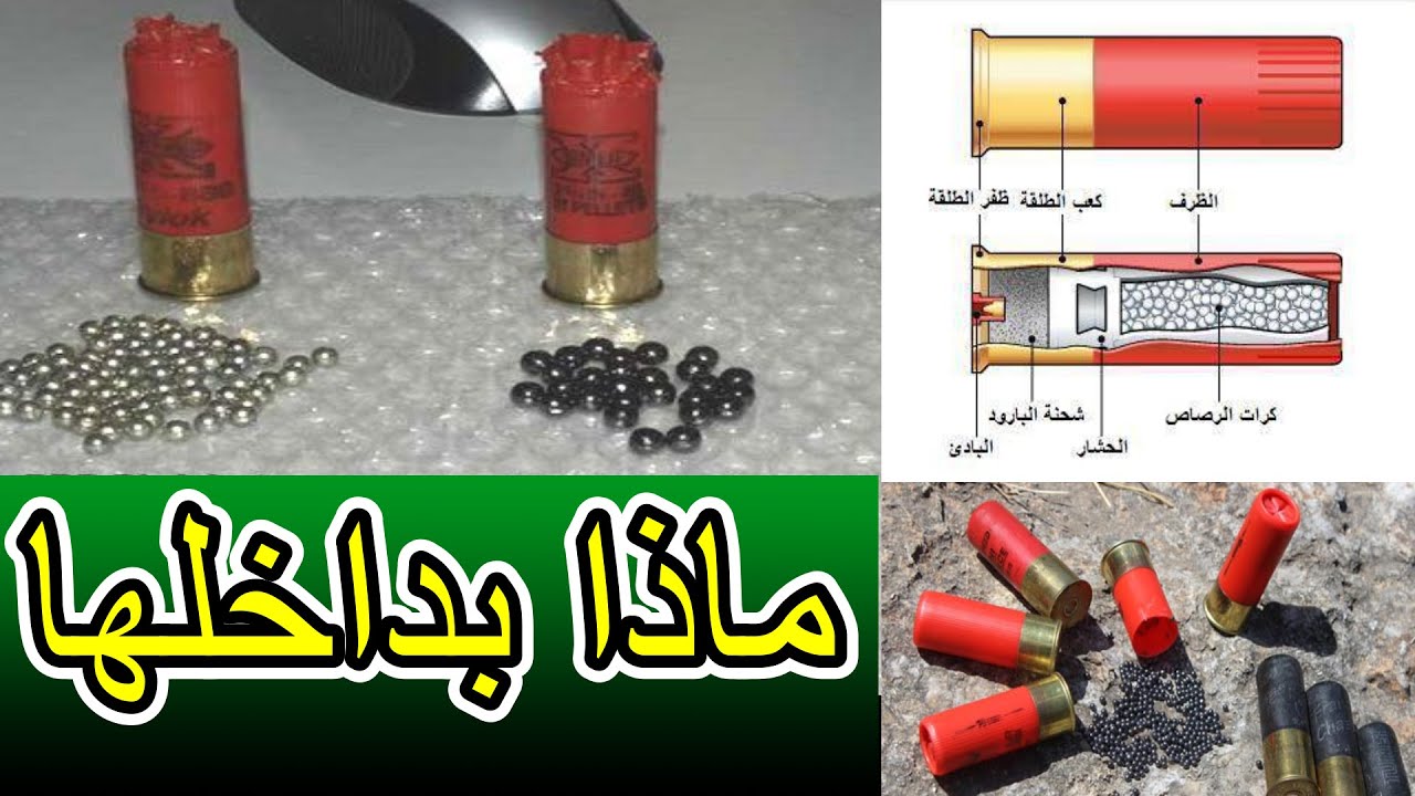 محتويات طلقه بندقيه الصيد من الداخل طلقه بمبكشن خرطوش #كسريه_صيد #بمبكشن #طلقه