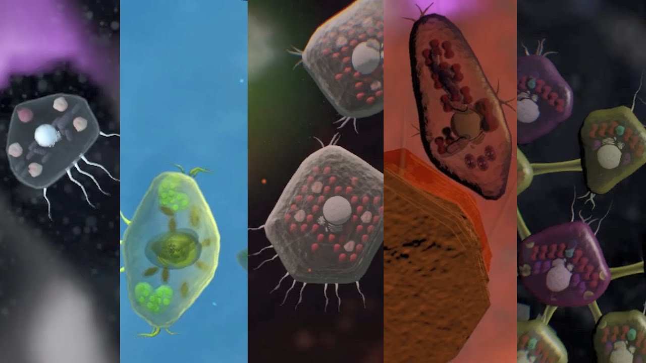 Every Thrive Release (from 0.6.0 to 1.0.0)